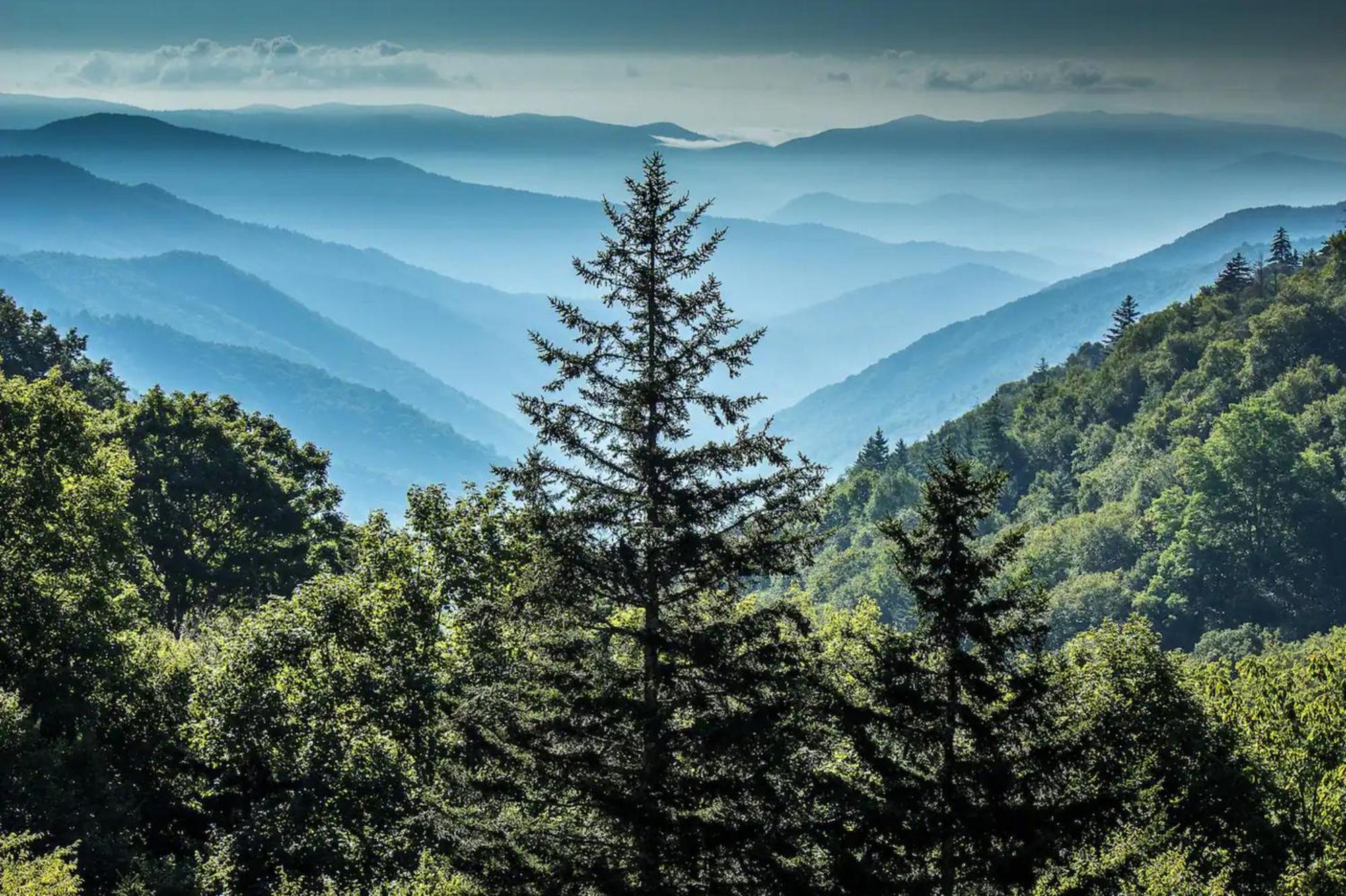 Views 1Br15Bath Pet-Friendly With Hot Tub & Bbq Pigeon Forge Ngoại thất bức ảnh